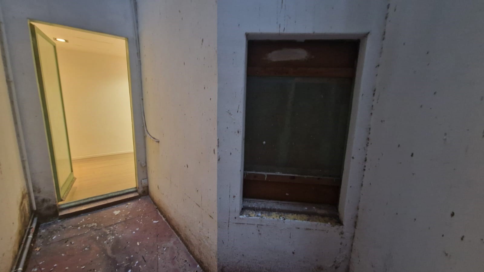 Pati interior 2026-02-28 (22)