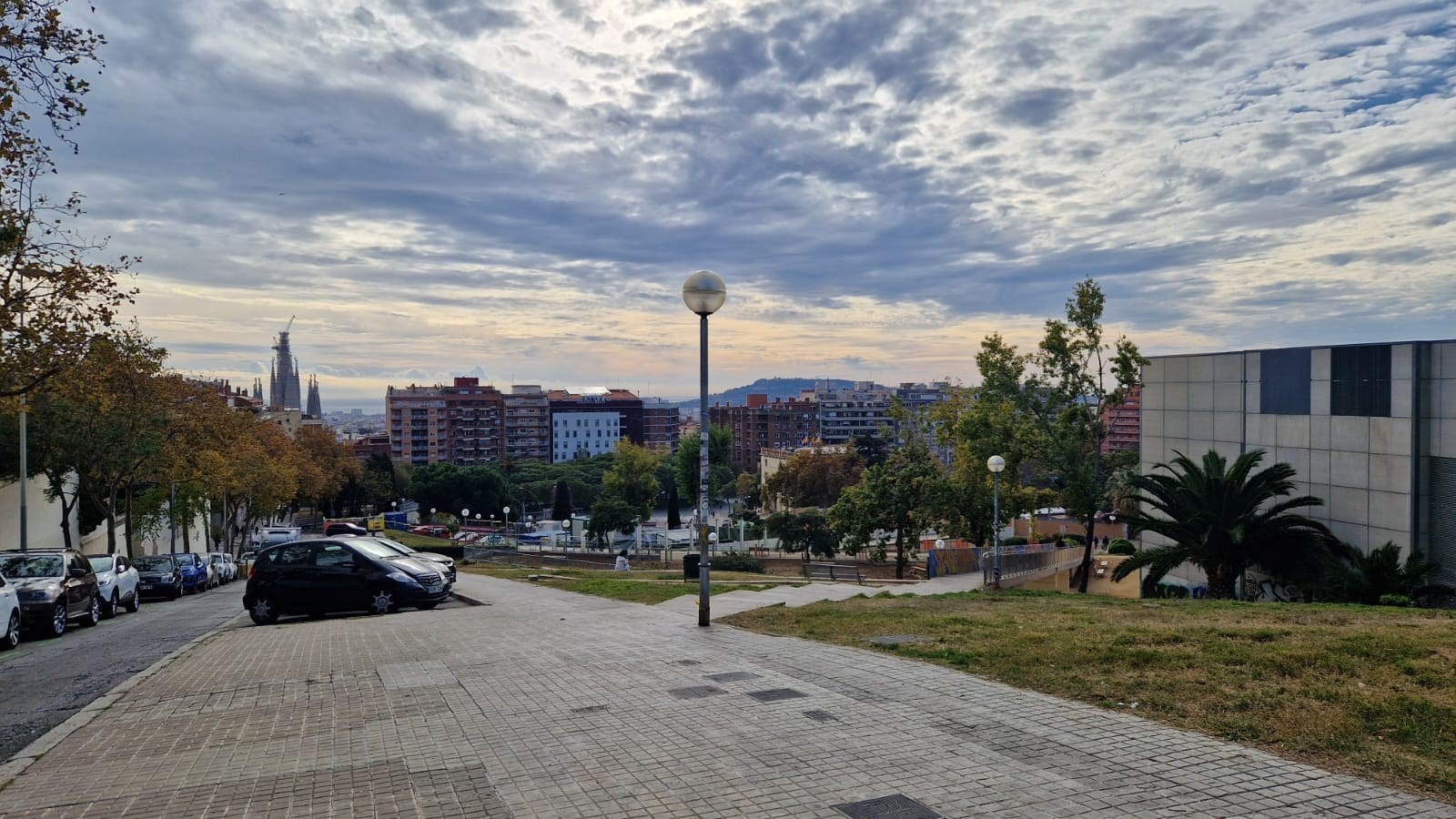 WhatsApp Image 2025-12-25 at 07.25.16 (5)