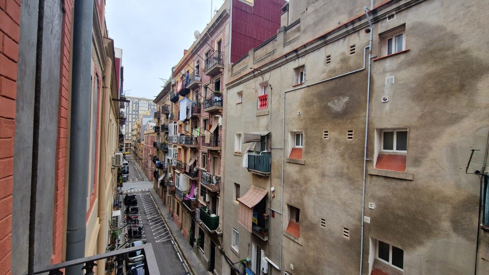 WhatsApp Image 2026-01-05 at 12.09.40 (1)