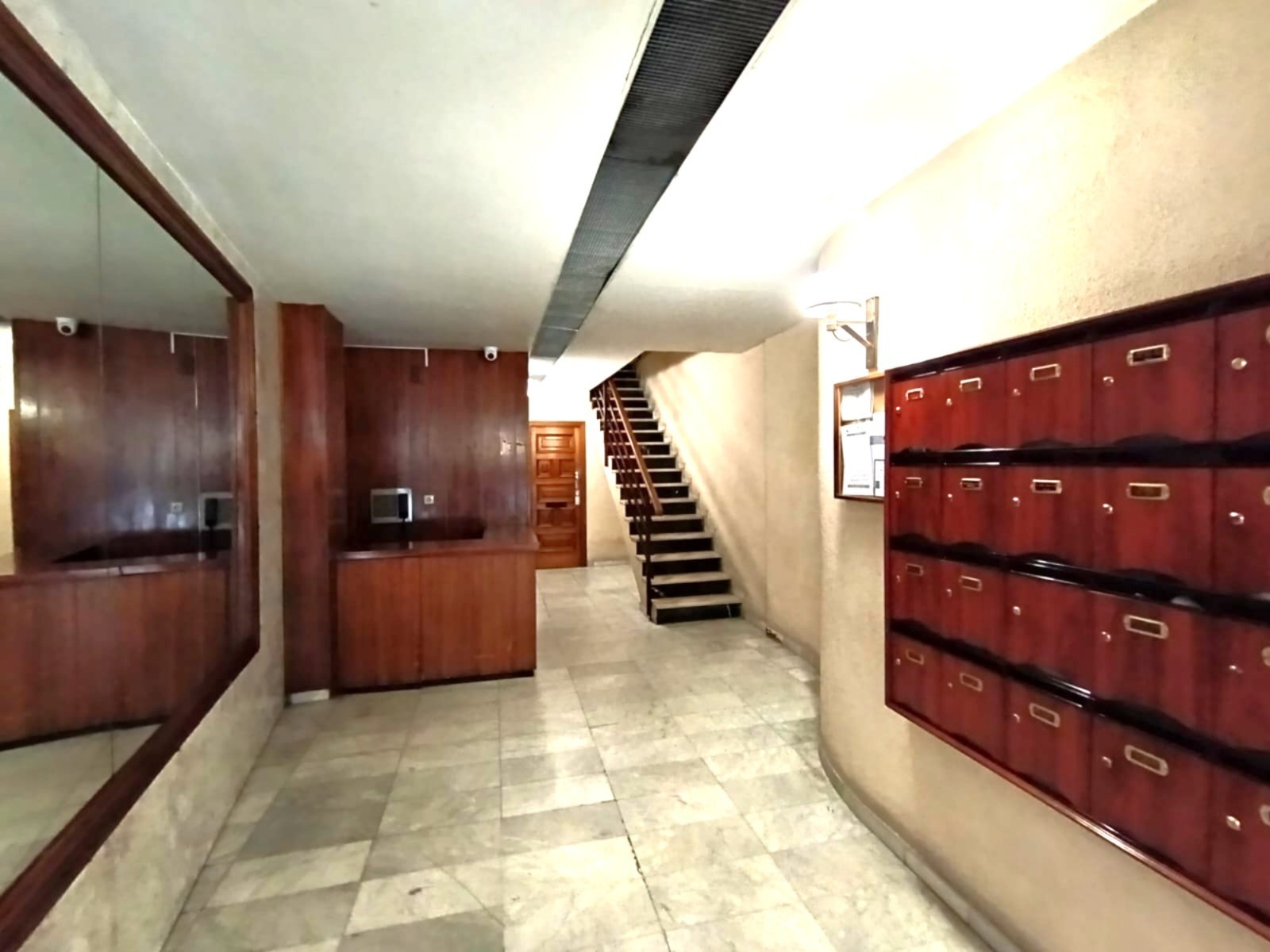 WhatsApp Image 2026-02-11 at 05.49.41