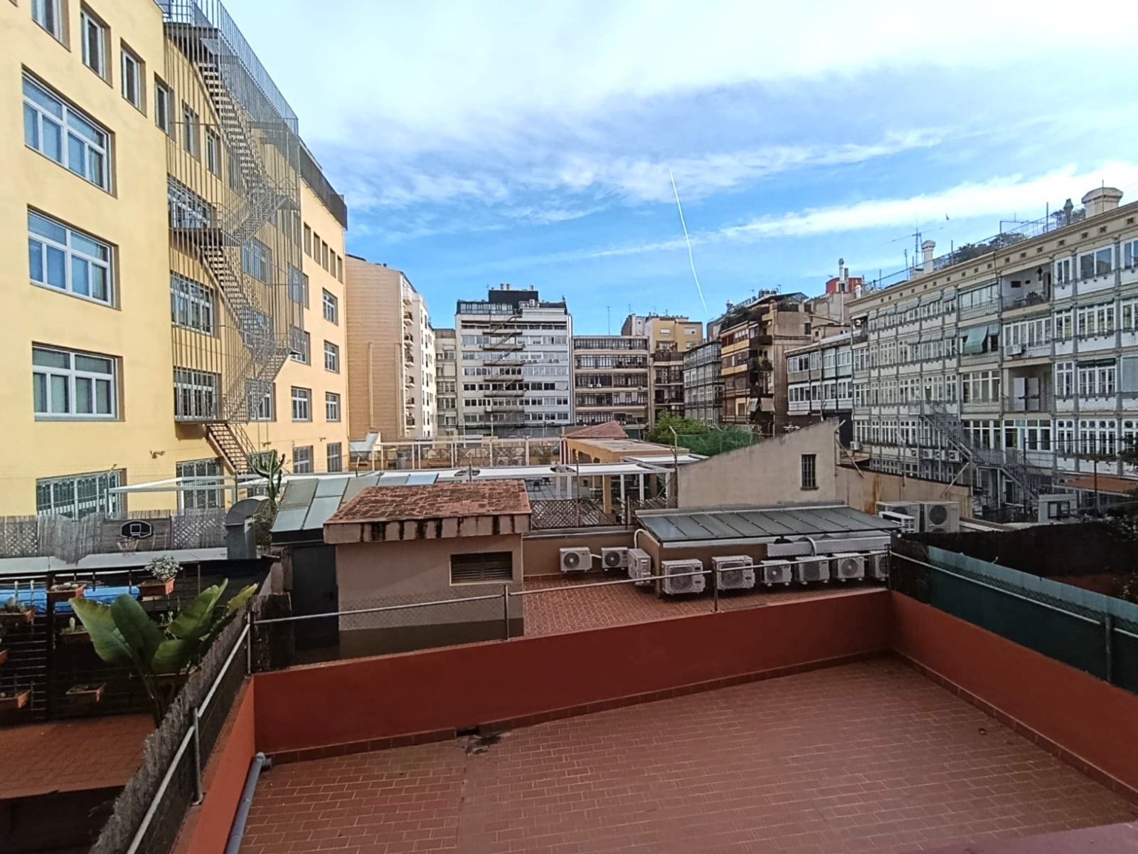 WhatsApp Image 2026-02-11 at 05.50.58