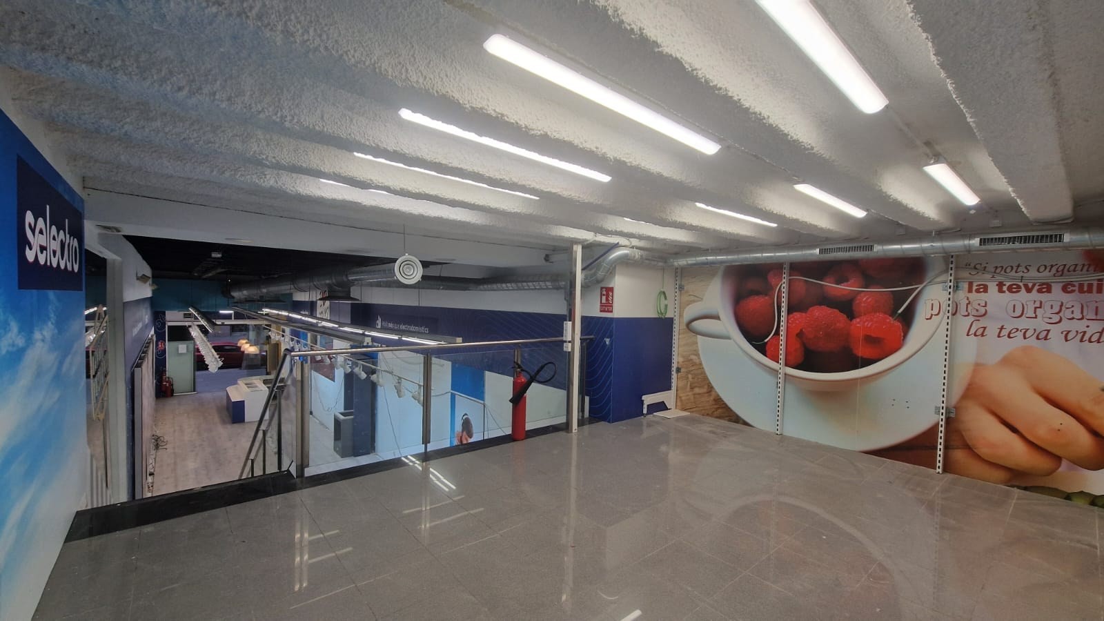 WhatsApp Image 2026-03-17 at 17.00.49