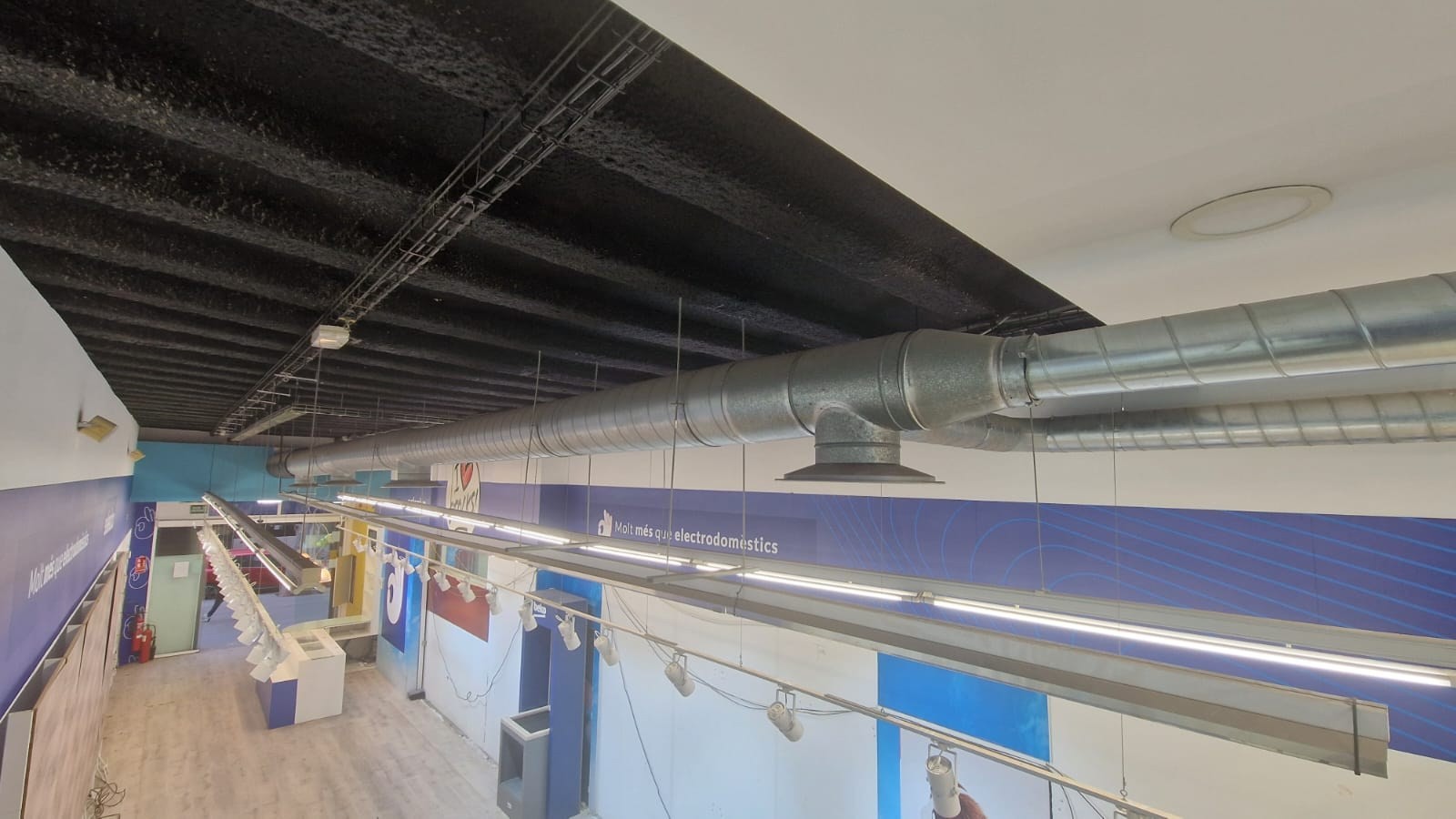 WhatsApp Image 2026-03-17 at 17.00.46 (1)