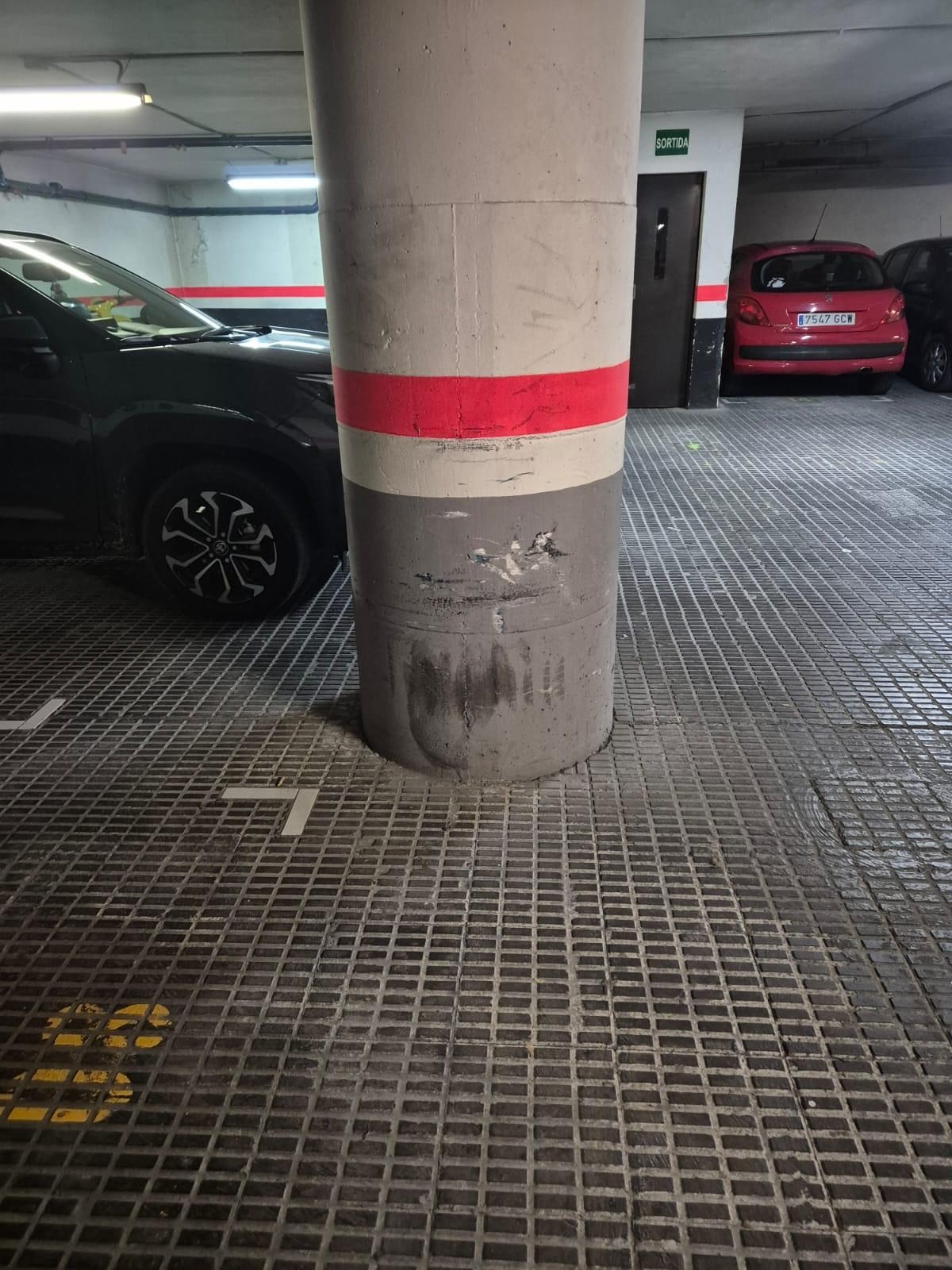 WhatsApp Image 2026-03-30 at 11.25.06-